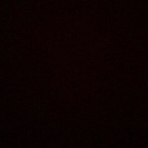 Meet your Posher, Cheyenne